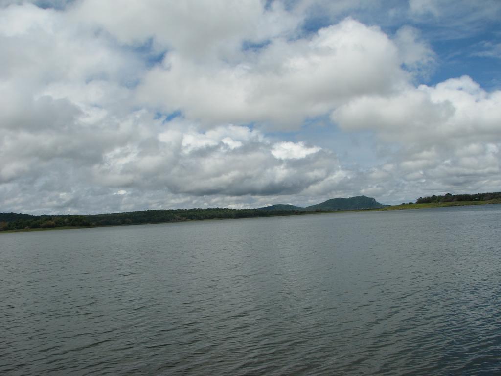 Coorg Jungle Camp Resort Suntikoppa Exterior foto